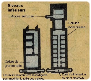 Voûte (la) n°5